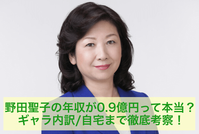 野田聖子の年収0.9億円や内訳、自宅まで徹底考察！