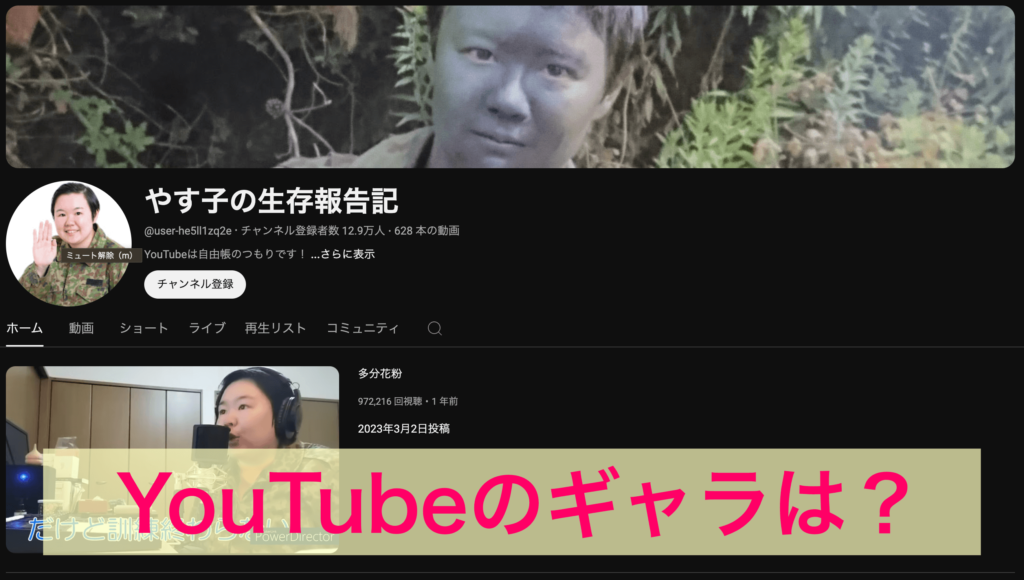 やす子youtubeのギャラは？